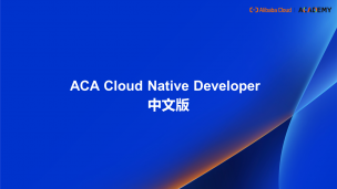 ACA Cloud Native Developer 中文版