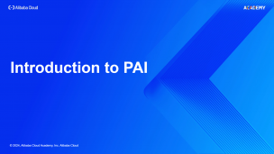 Introduction to PAI