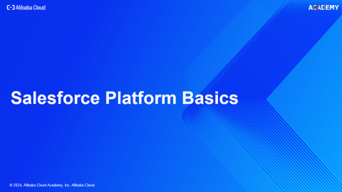 Salesforce Platform Basics