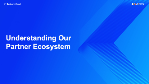 Understanding Our Partner Ecosystem