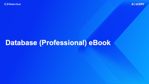 Database (Professional) eBook